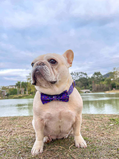 Dog Halloween Collar - Frenchiely