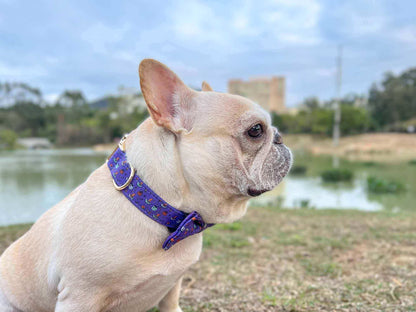Dog Halloween Collar - Frenchiely