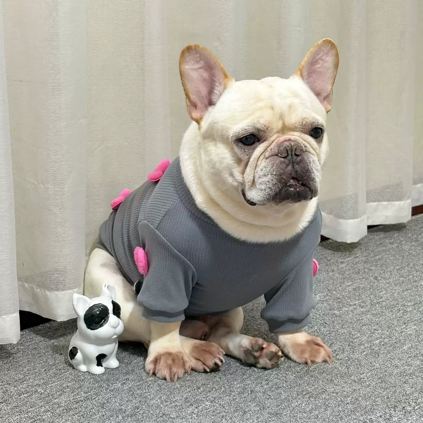Heart Pullover Sweater dogheartpulloversweaterformediumdogbreedsbyFrenchiely_5