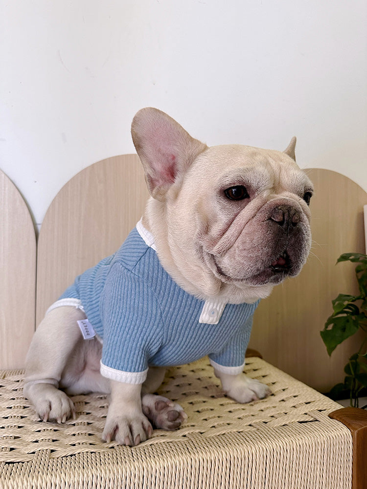 Dog Stretchy Shirt with heart logo in blue for medium dogs