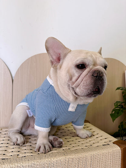 Dog Stretchy Shirt with heart logo in blue for medium dogs