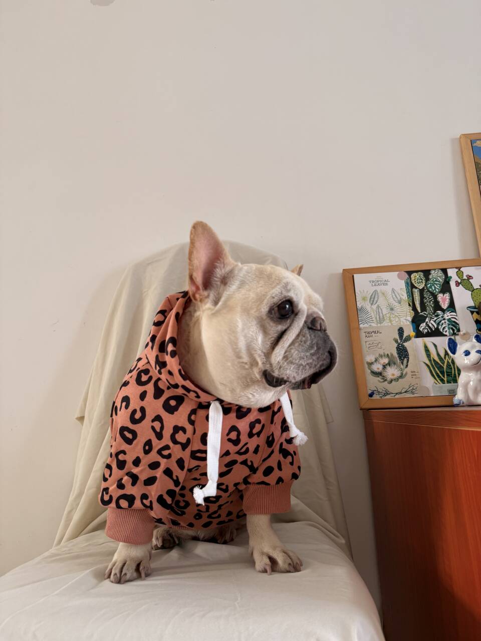 Dog leopard hoodie coat for small medium dogs by Frenchiely.com
