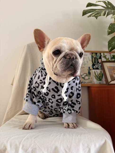 Dog leopard hoodie coat for small medium dogs by Frenchiely.com
