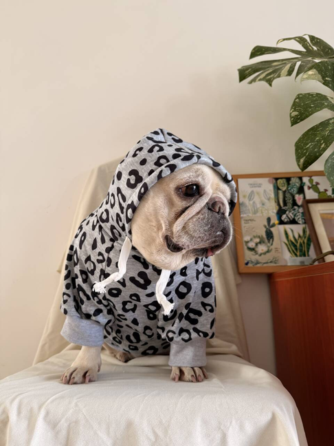 Dog leopard hoodie coat for small medium dogs by Frenchiely.com