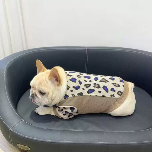 Leopard Coat dogleopardpullovershirtformediumdogs_2