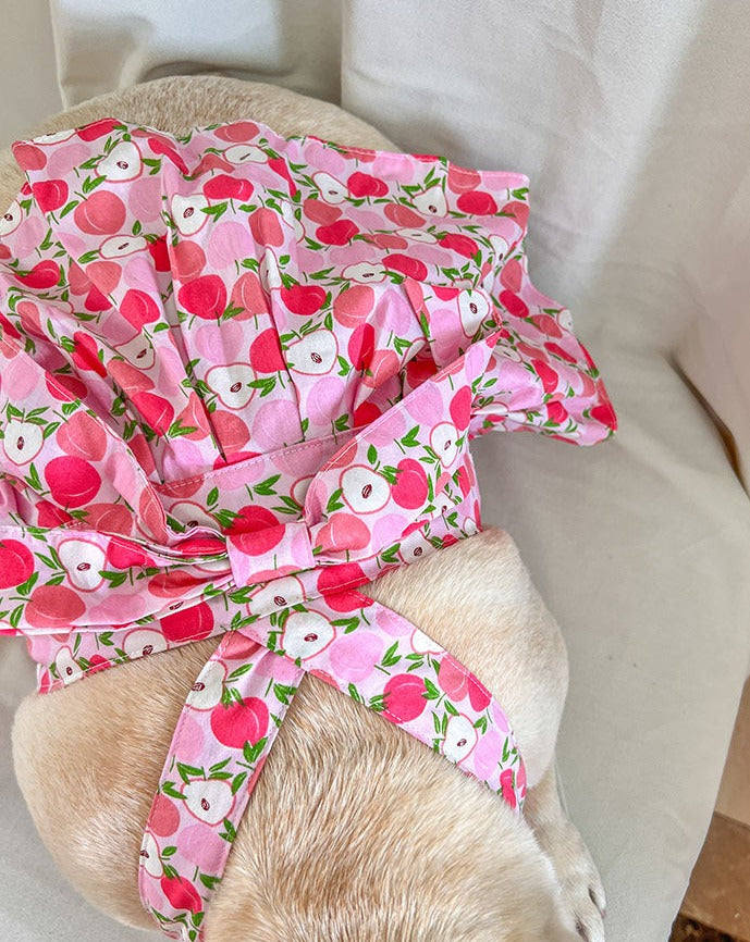 Dog summer pink litchi dress for small medium dogs by frenchiely 
