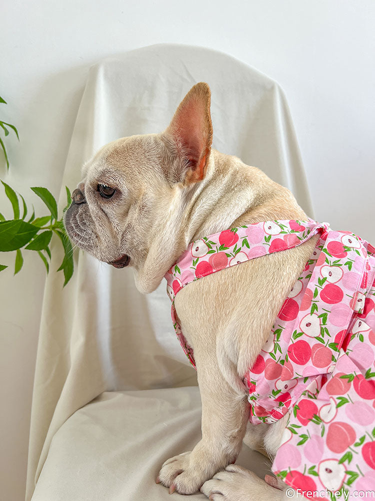 Dog summer pink litchi dress for small medium dogs by frenchiely 