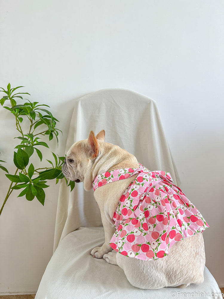 Dog summer pink litchi dress for small medium dogs by frenchiely 