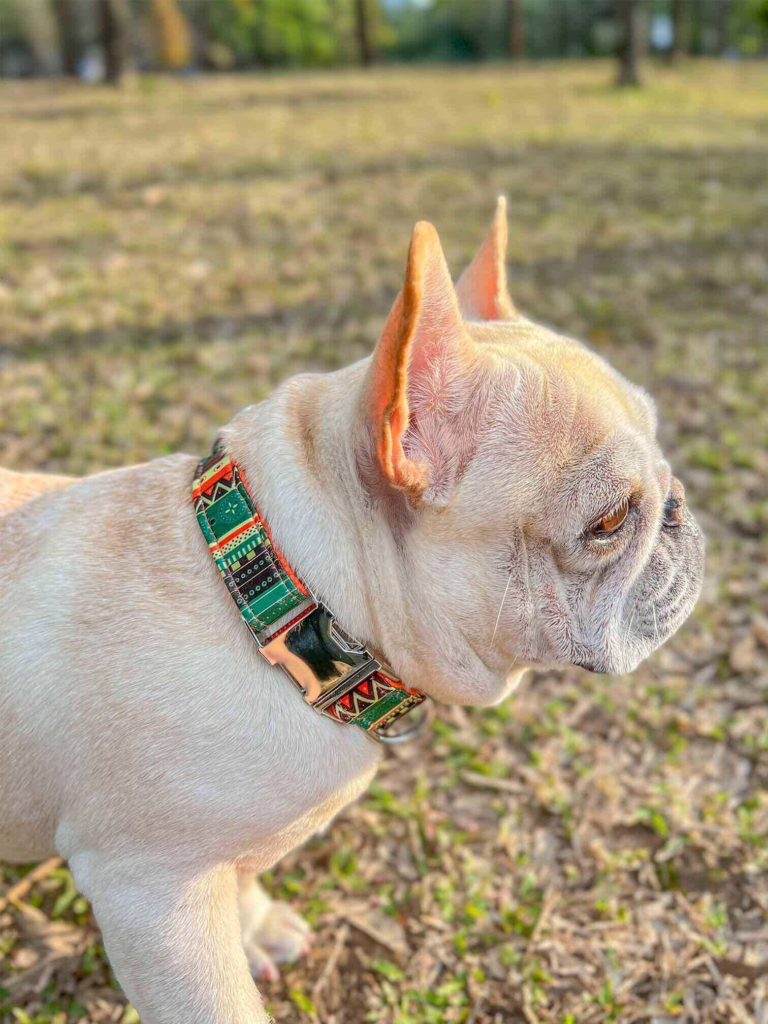 Dog Maya Print Collar - Frenchiely