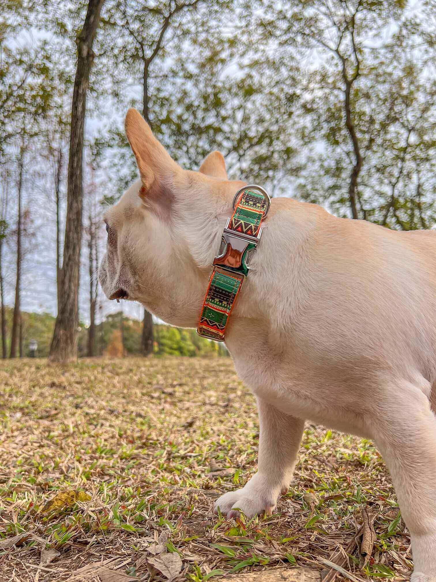Dog Collar Leash Set-Maya - Frenchiely