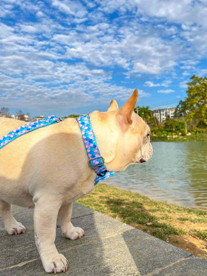 Dog Mermaid Leash Set - Frenchiely