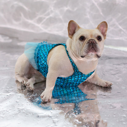 dog mermaid shiny dress for small medium dogs by Frenchiely