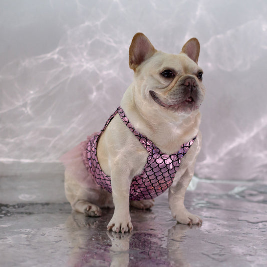 dog mermaid shiny dress for small medium dogs by Frenchiely