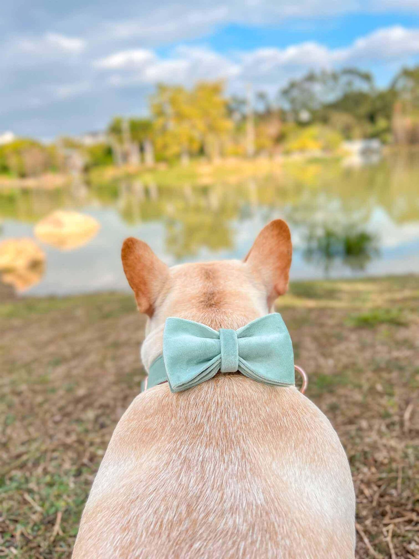 Dog Mint Green Leash Set - Frenchiely