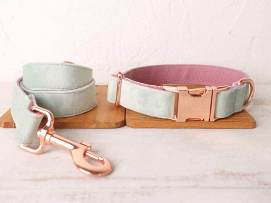 Dog Leash-Mint - Frenchiely