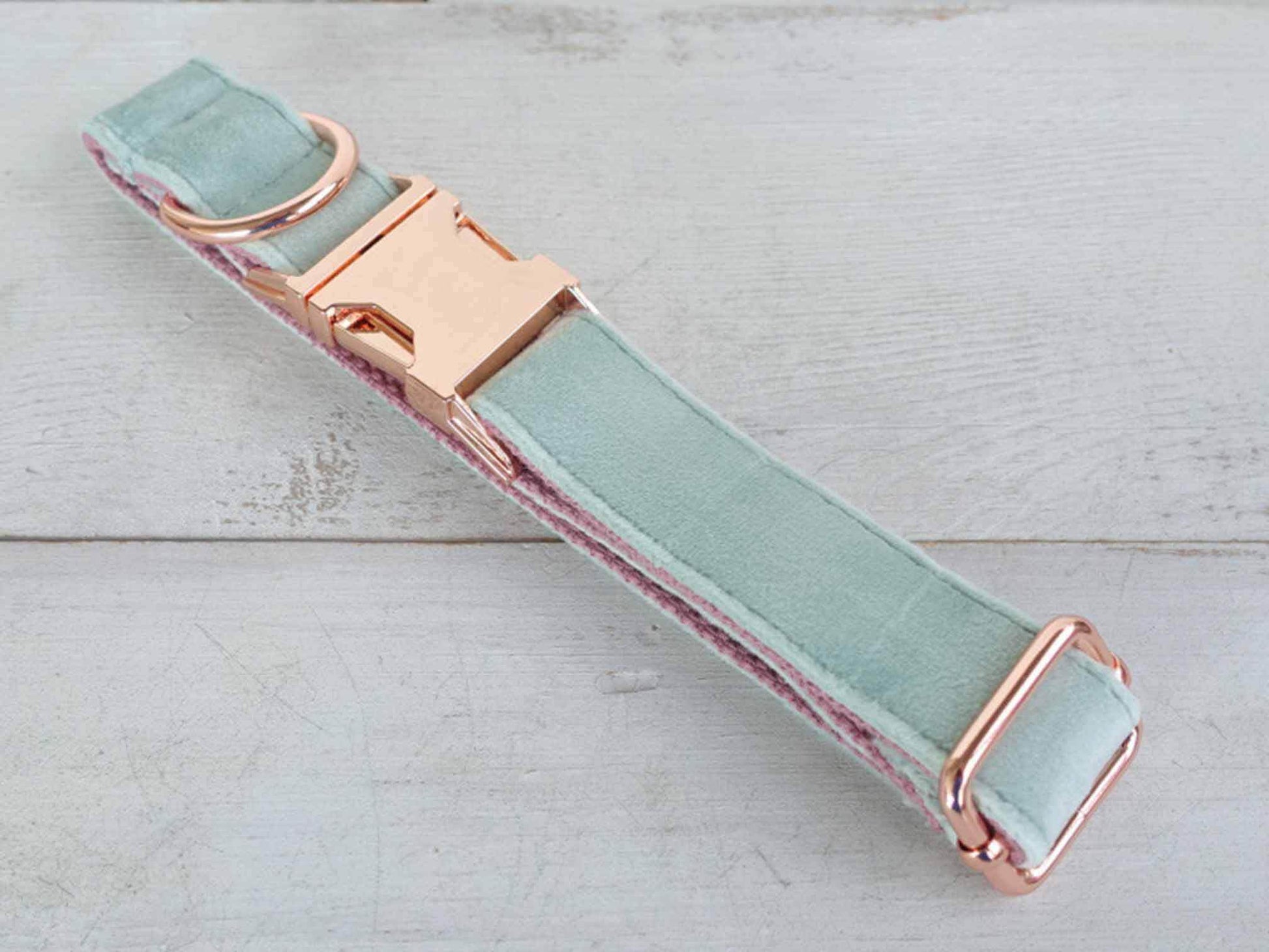 Dog Mint Green Collar - Frenchiely