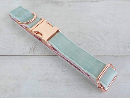 Dog Mint Green Collar - Frenchiely