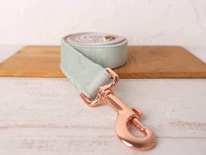 Dog Mint Green Leash Set - Frenchiely