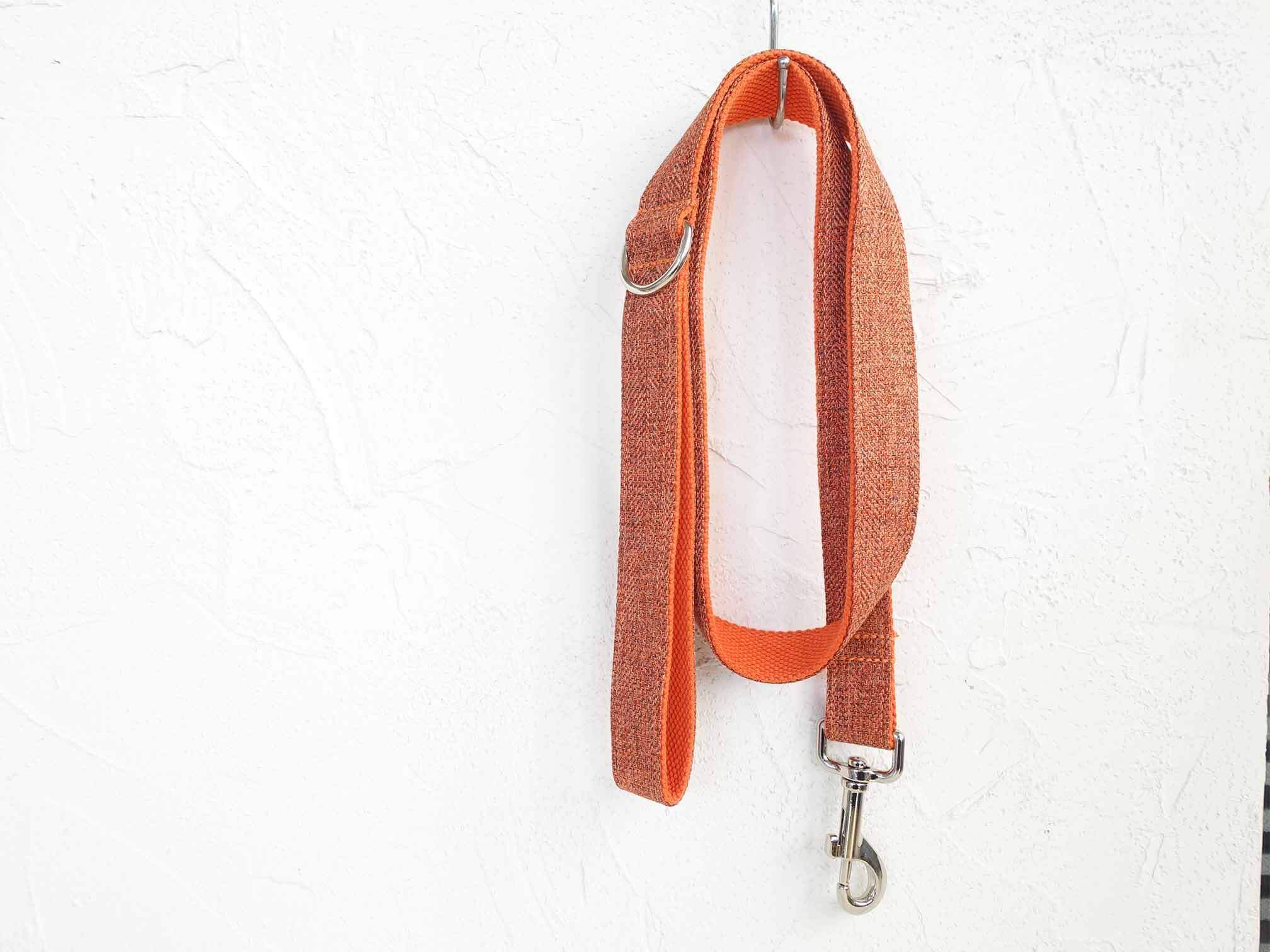 Dog Orange Collar Leash Set