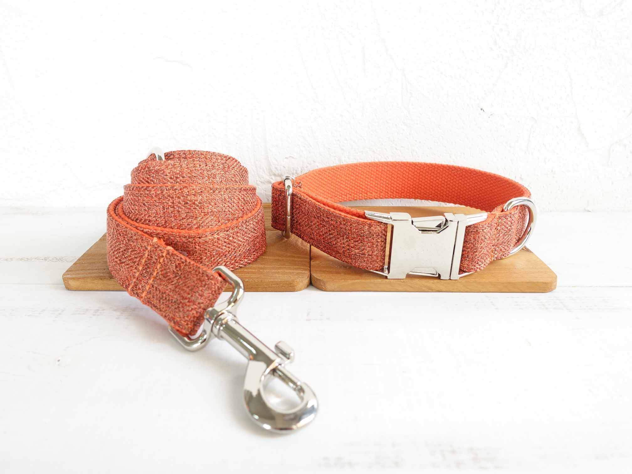 Dog Orange Collar Leash Set