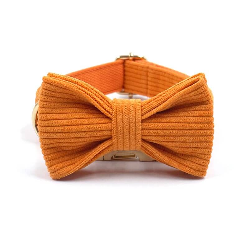 Dog Orange Collar Leash Set - Frenchiely