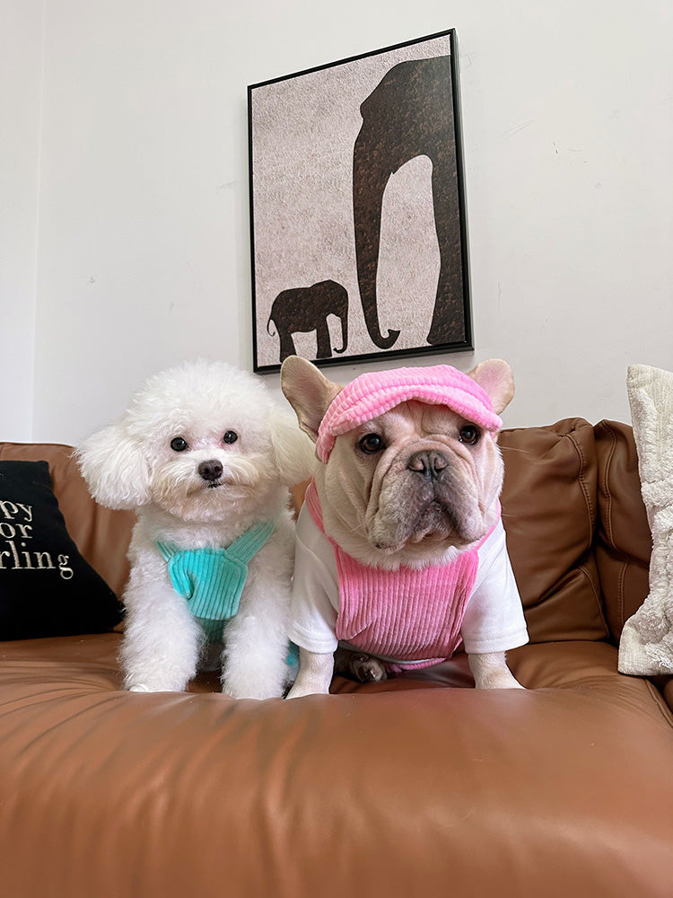 Dog Corduroy Overalls with Hat - Frenchiely