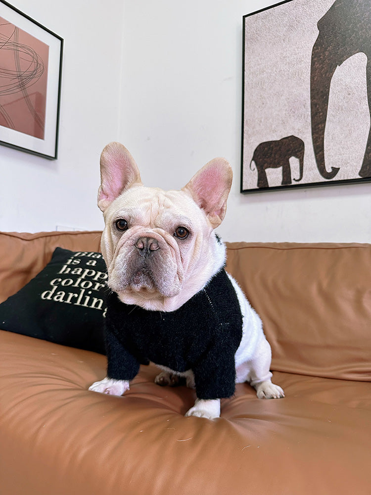 Dog Panda Sweater - Frenchiely