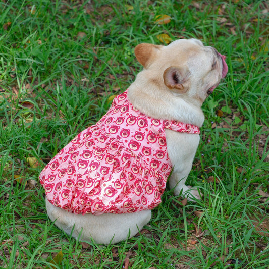 Summer Pink Bear Dress dogpinkbeardressforfrenchbulldogs_1