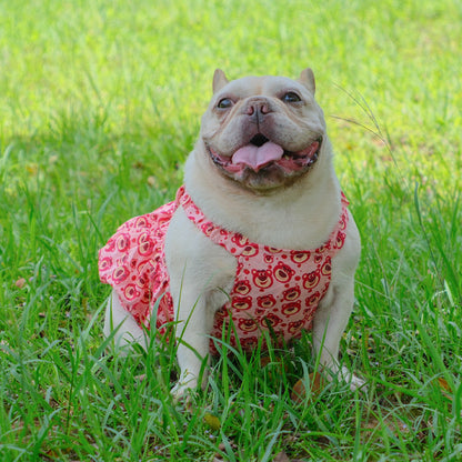 Summer Pink Bear Dress