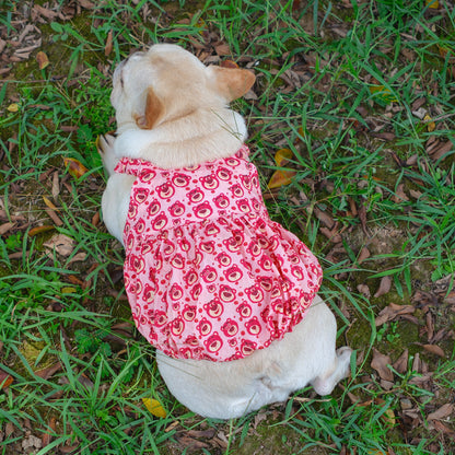 Summer Pink Bear Dress