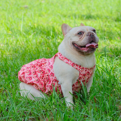 Summer Pink Bear Dress