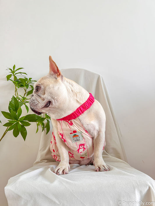 dog pink bear shirt dress for small medium dogs by frenchiely 