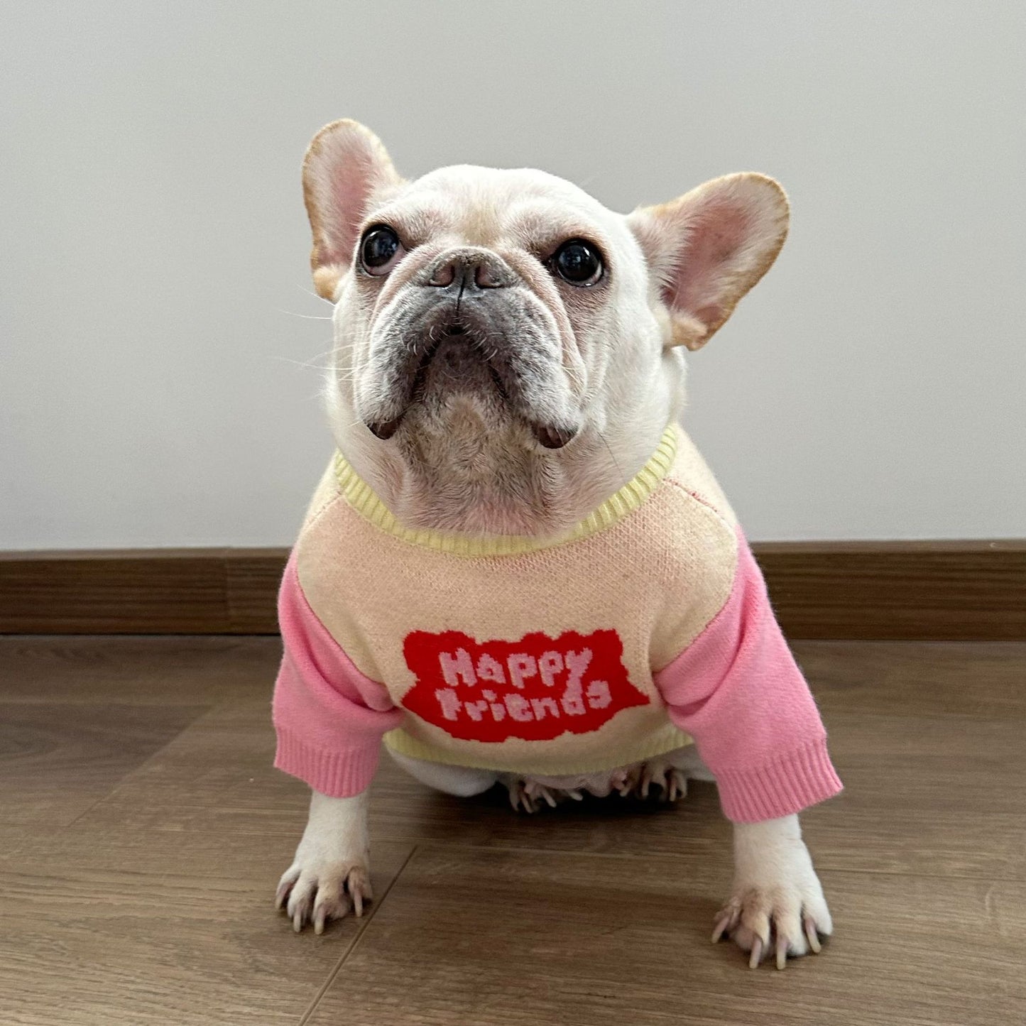 Female Dog Pink Sweater-Happy Friend - Frenchiely