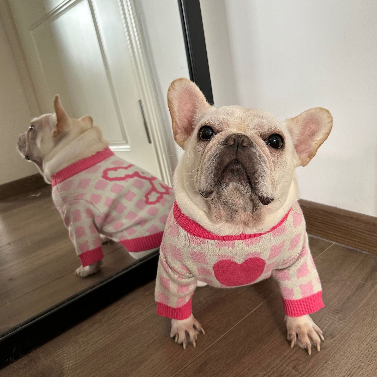 Dog Pink Doggie Sweater - Frenchiely