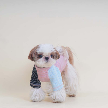 Pink Stripe Shirt dogpinkstripeshirtformediumdogsbyFrenchiely_3