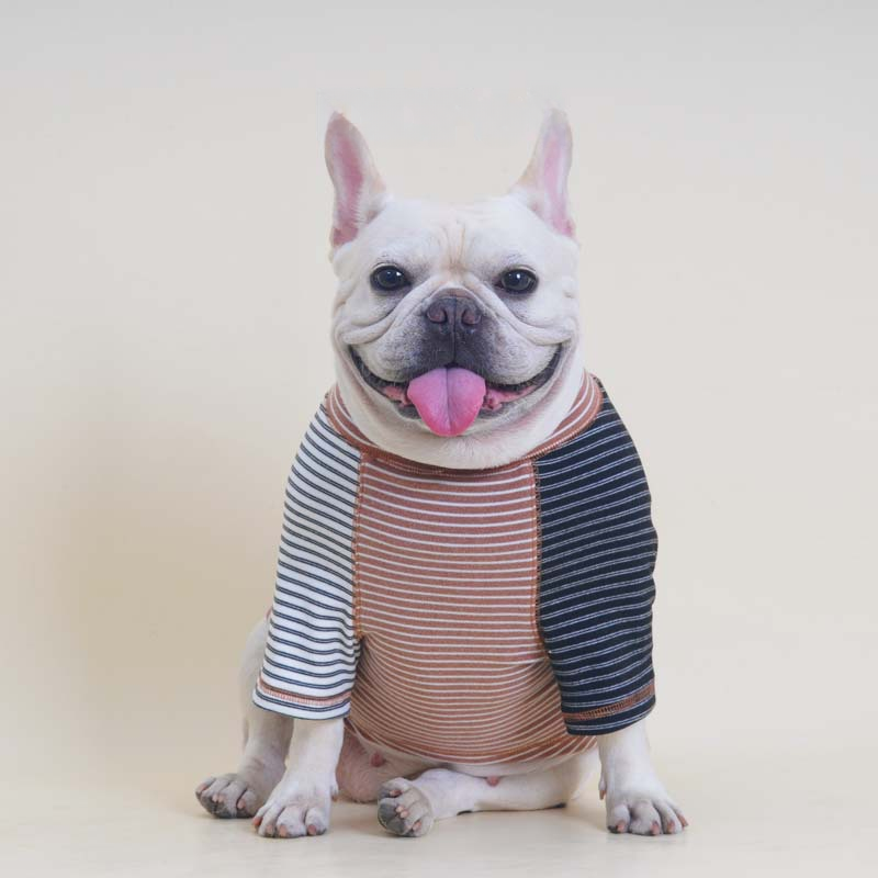 Pink Stripe Shirt dogpinkstripeshirtformediumdogsbyFrenchiely_4