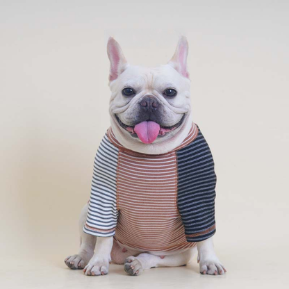 Pink Stripe Shirt dogpinkstripeshirtformediumdogsbyFrenchiely_4