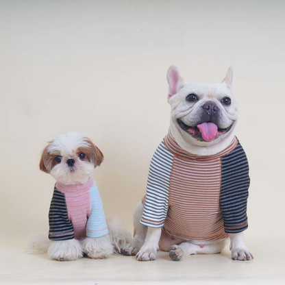 Pink Stripe Shirt dogpinkstripeshirtformediumdogsbyFrenchiely_8