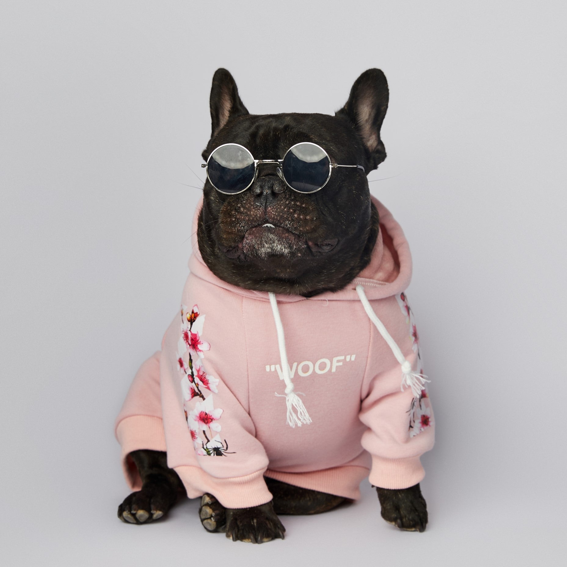 Woof clothes sales