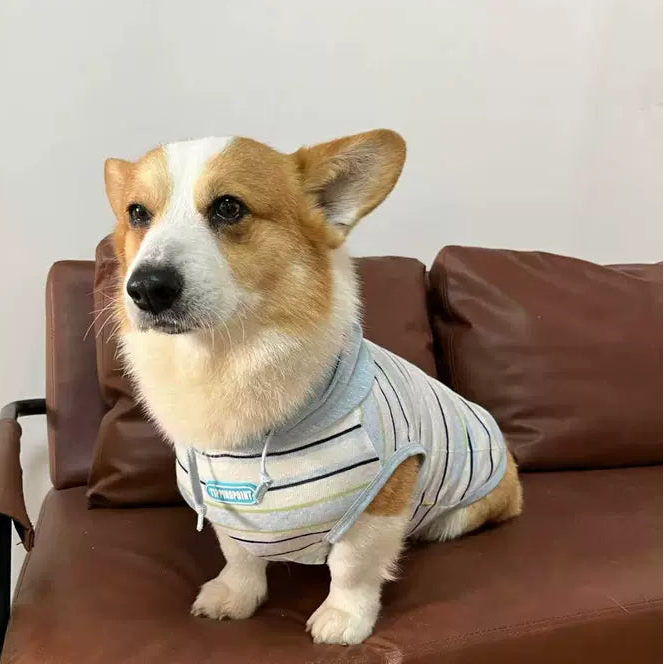 Dog Breathable Hooded Stripe Sweatshirt
