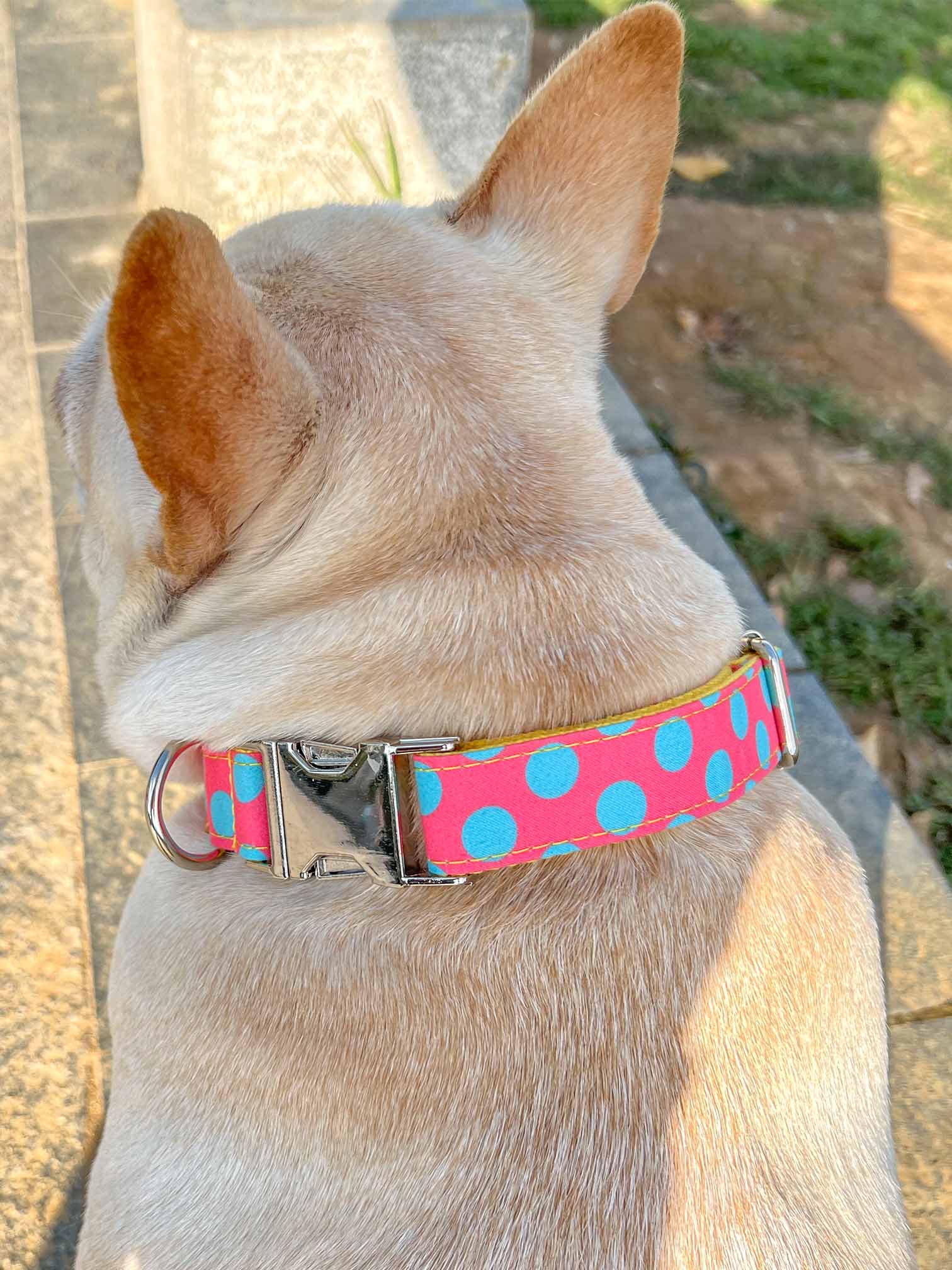 Dog Polka Collar Leash Set - Frenchiely