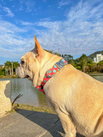 Dog Polka Collar Leash Set - Frenchiely