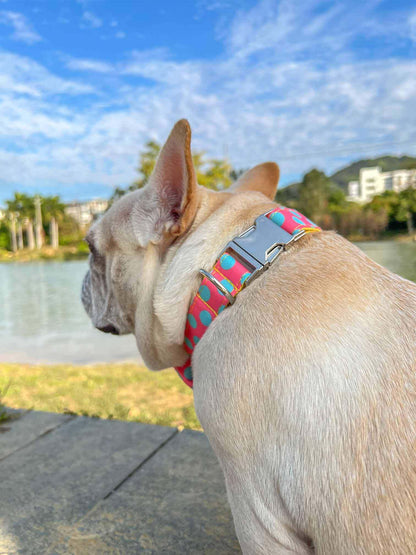 Dog Polka Collar Leash Set - Frenchiely