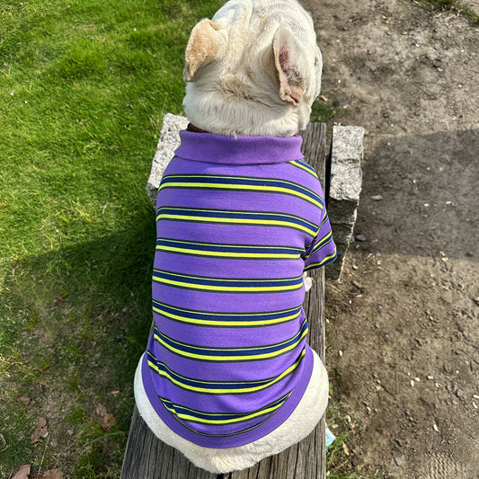 Dog Striped Polo Shirt for small medium dogs by Frenchiely