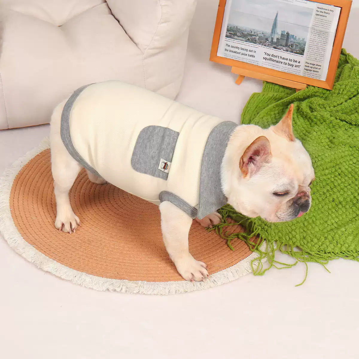 Dog Polo Shirt with Pocket