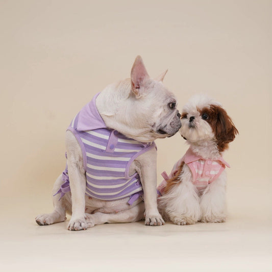 Dog Striped Polo Vest Shirt for small medium dogs by Frenchiely