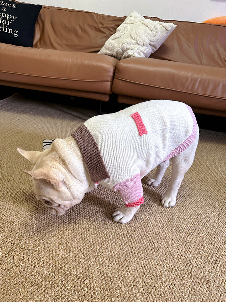 Dog Colored Buttons Cardigan sweater for medium dogs by Frenchiely