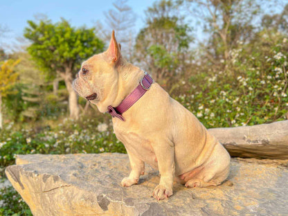 Dog Lilac Collar Bow Tie - Frenchiely
