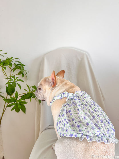 dog purple floral dress for small medium dogs by frenchiely