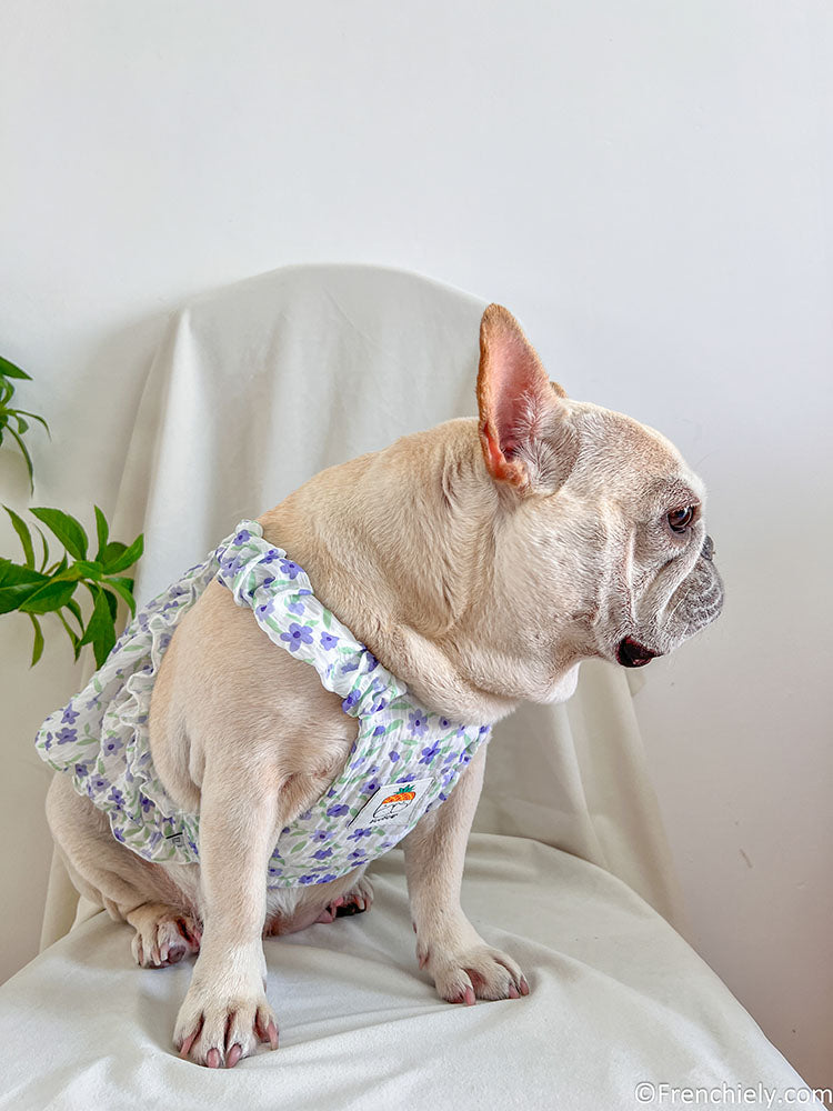 dog purple floral dress for small medium dogs by frenchiely